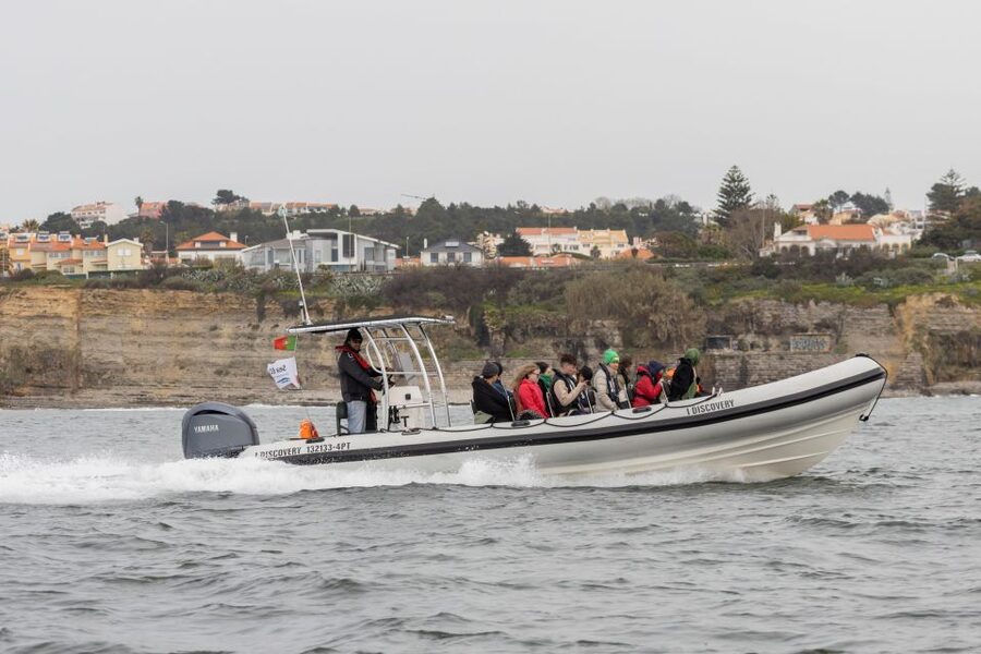 Birdwatching Boat Tour in the Tagus Estuary - What the $58 Price Includes
