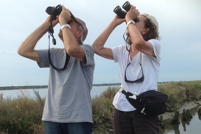 Birdwatching by boat in a small group in the Pialassa Baiona - A close look at the route