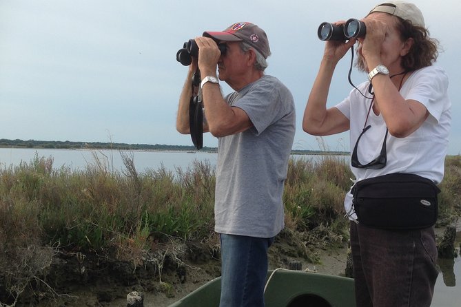 Birdwatching by boat in a small group in the Pialassa Baiona - Practical details before you book