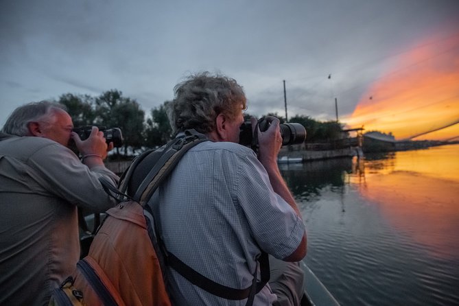Birdwatching by boat in a small group in the Pialassa Baiona - Morning calm or evening sunset