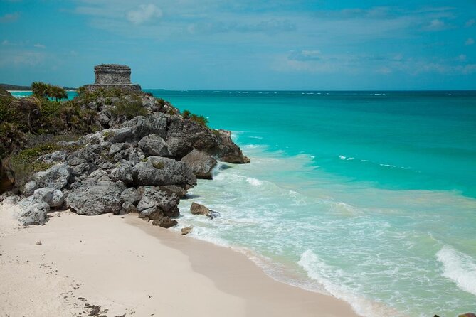 Birdwatching Cancun - Key Points Before You Book