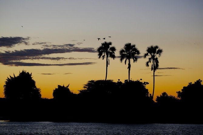 Birdwatching Cruise in Zambezi River with Breakfast - Pickup, meeting point, and the two-hour schedule