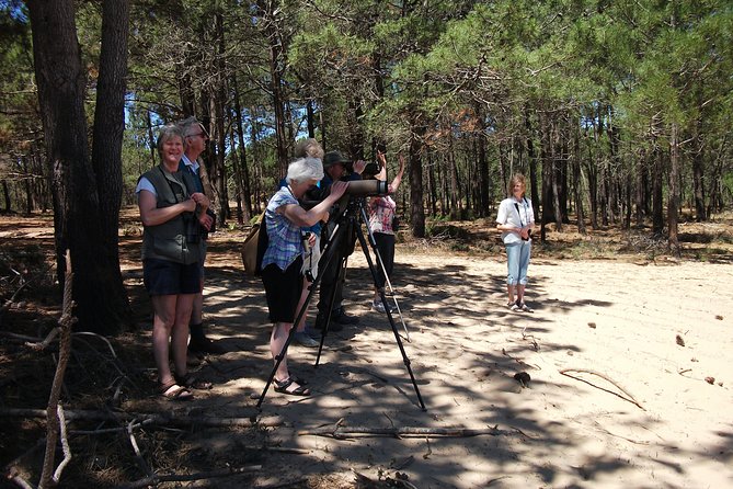Birdwatching day around Sagres - Cape St. Vincent and the autumn migration