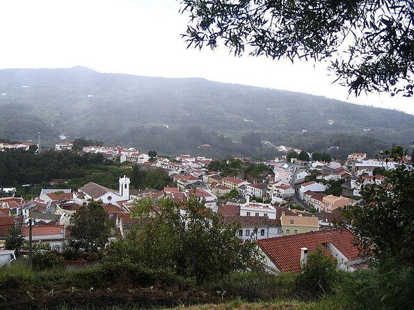 Birdwatching day in the Monchique hills - Why the Monchique hills are worth a morning