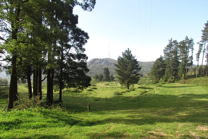 Birdwatching day in the Monchique hills - What Foia offers, and what it cannot promise