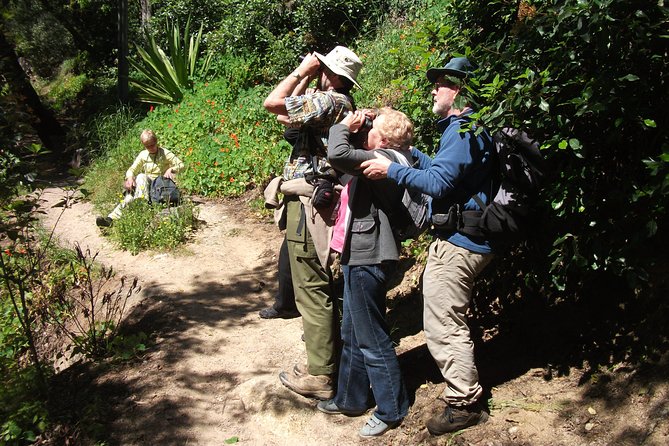 Birdwatching day in the Monchique hills - The guide, the telescope, and what to bring