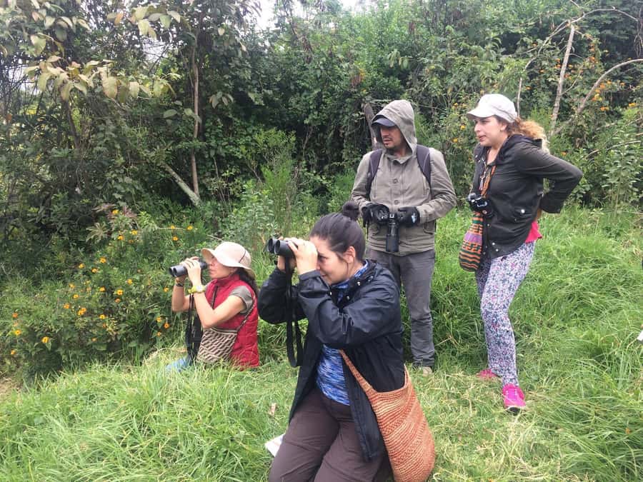 Birdwatching Day Tour at Chicaque Natural Park - Key points to know before you book