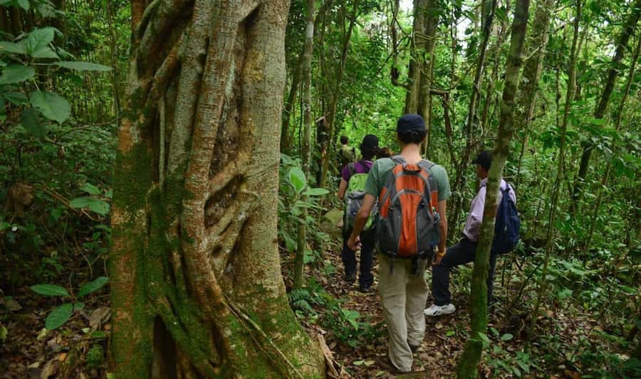 Birdwatching Day Tour at Chicaque Natural Park - Leaving Bogotá for Chicaque’s cool forest