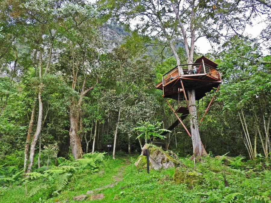 Birdwatching Day Tour at Chicaque Natural Park - Weekday timing may help with birding
