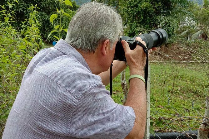 Birdwatching: Desaru's Winged Gems - Key points to know before you go