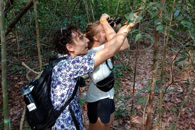 Birdwatching: Desaru's Winged Gems - What makes Desaru Coast good for birdwatching