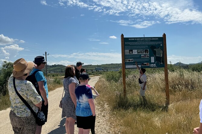 Birdwatching Experience in Narte Lagoon & Akerni Dunes - What the $179.31 group price means