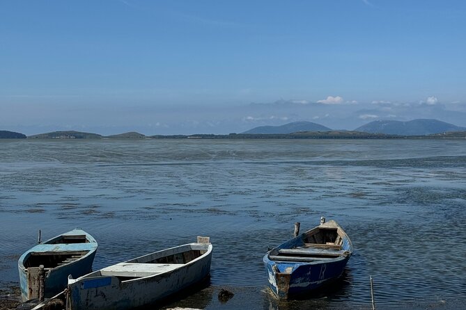 Birdwatching Experience in Narte Lagoon & Akerni Dunes - Weather, timing, and the practical details