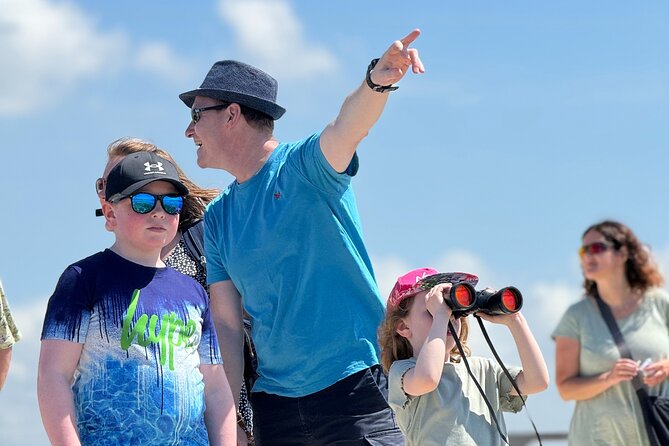 Birdwatching Experience in Narte Lagoon & Akerni Dunes - Who will get the most from this outing
