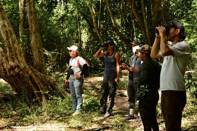 Birdwatching in Coba from Tulum - Shared Group Tour - What to bring and what the price covers