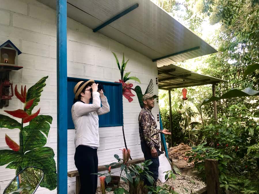 Birdwatching in Guatapé with Around 400 Bird Species - Why Guatapé is a strong place for birdwatching