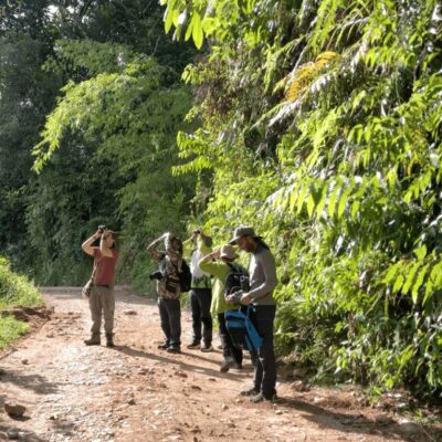 Birdwatching in Guatapé with Around 400 Bird Species