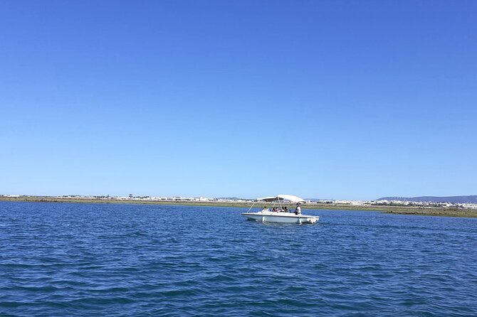 Birdwatching in Ria Formosa - Eco Boat Tour from Faro - A quiet way into Ria Formosa from Faro