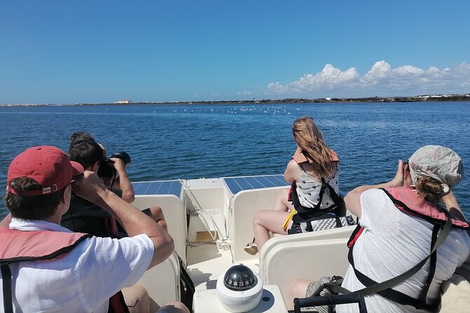 Birdwatching in Ria Formosa - Eco Boat Tour from Faro - Following the canals and marshes