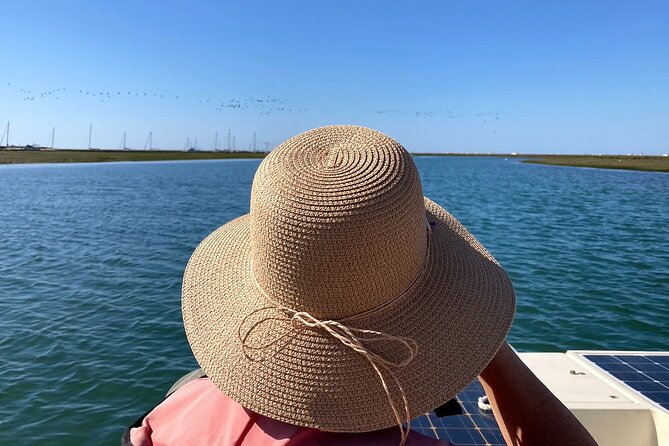 Birdwatching in Ria Formosa - Eco Boat Tour from Faro - Why the biologist guide matters