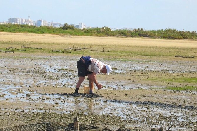 Birdwatching in Ria Formosa - Eco Boat Tour from Faro - The return to Faro