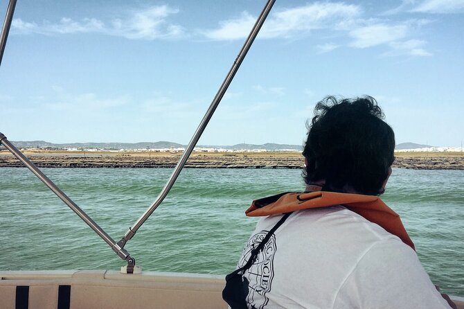 Birdwatching in Ria Formosa - Eco Boat Tour from Faro - Is $48.27 a fair price?