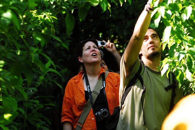 Birdwatching in Sian Ka´an Muyil from Tulum - Shared Group Tour - What the $119 price really covers