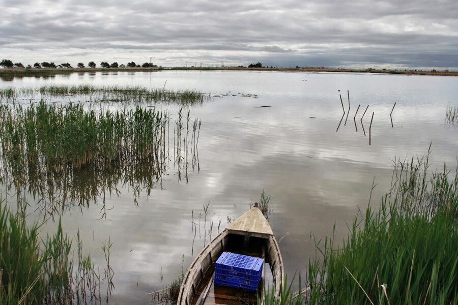 Birdwatching in the Ebro Delta - Following the coast toward Fangar Bay