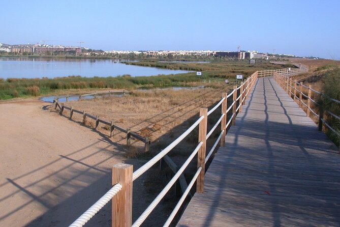 Birdwatching Private Tour at Fascinating Salgados Lagoon - Rui Brings Thirty Years of Field Experience