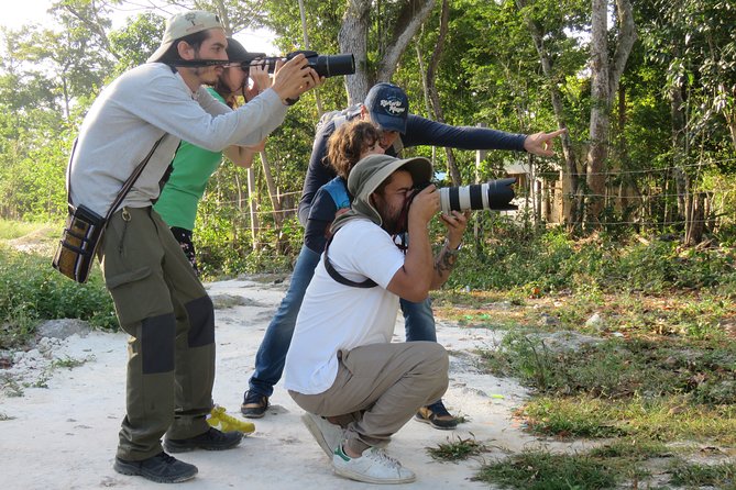 Birdwatching Sian Ka'an Biosphere Reserve - Why Muyil makes a strong birdwatching base