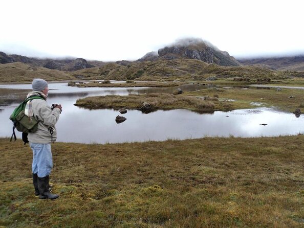 Birdwatching Tour in Cajas National Park from Cuenca - Key details before you book