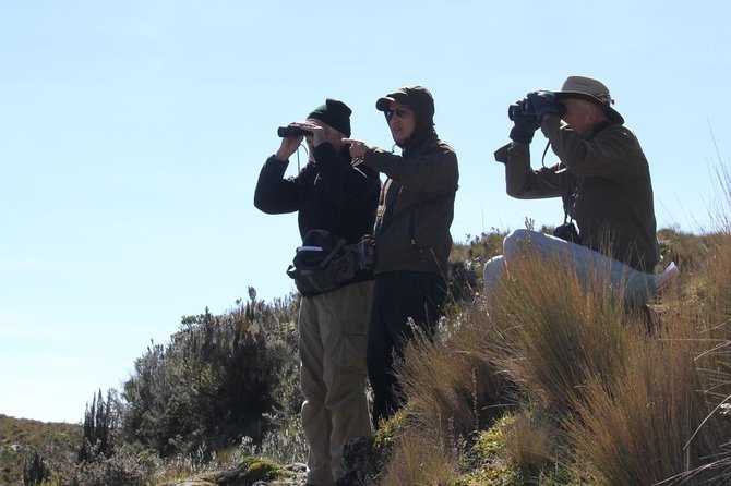 Birdwatching Tour in Cajas National Park from Cuenca - The 6:30 am start from Cuenca