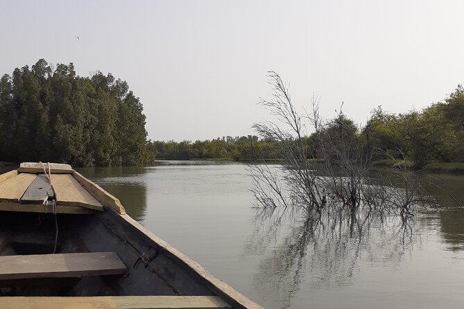 Birdwatching tours - Starting from your hotel in Gambia