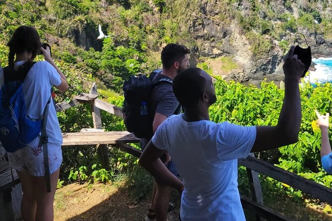 Birdwatching, Waterfall, Rainforest and Island Nature Tours - Practical details before you reserve