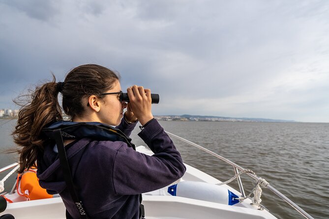 Boat Tour - Bird Observation in the Tejo Nature Reserve - Who will enjoy this boat trip most