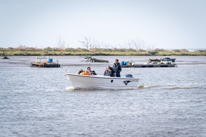 Boat Tour - Bird Observation in the Tejo Nature Reserve - Practical details that affect your morning