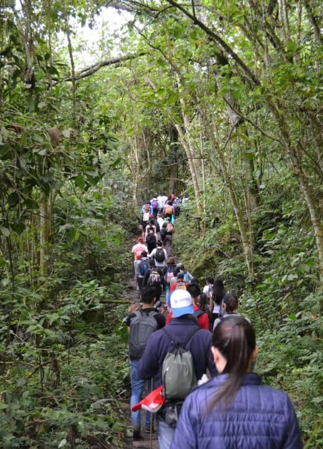 Bogota: Explore the forest and bird watching at Chicaque Natural Park - From Bogotá streets to Chicaque’s cloud forest