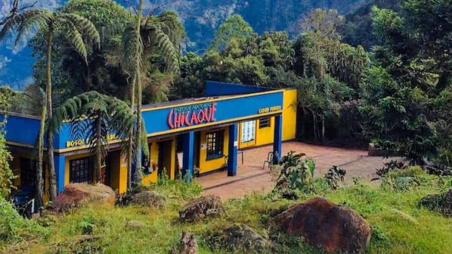 Bogota: Explore the forest and bird watching at Chicaque Natural Park - Choosing between short trails and a longer walk