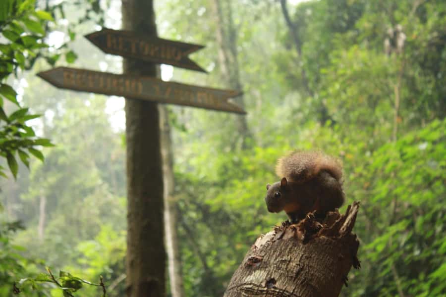 Bogota: Explore the forest and bird watching at Chicaque Natural Park - The moderate hike to Chicaque Waterfall