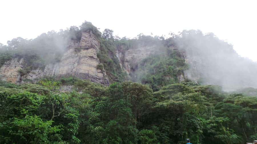 Bogota: Explore the forest and bird watching at Chicaque Natural Park - Lunch in the park, with time to slow down