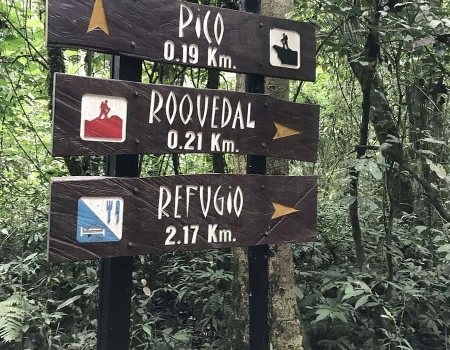 Bogota: Explore the forest and bird watching at Chicaque Natural Park - Why private transportation improves the seven-hour day