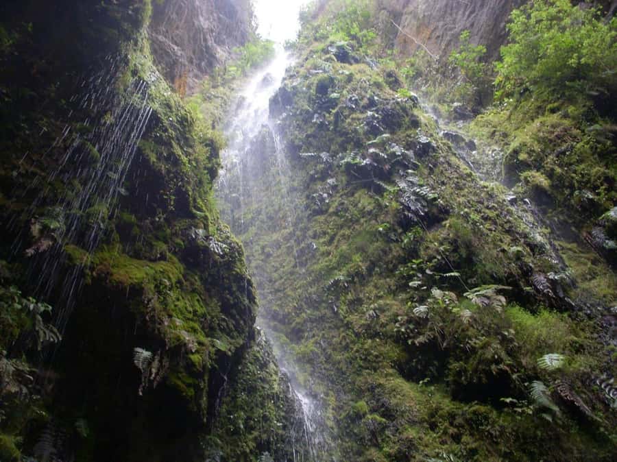 Bogota: Explore the forest and bird watching at Chicaque Natural Park - Booking value and cancellation flexibility