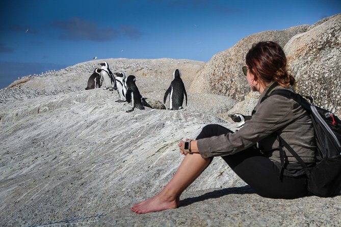 Boulders Beach Cape Town: Swimming With Penguin & Close Encounter Half Day Tour - Chapman’s Peak Drive, with the toll included