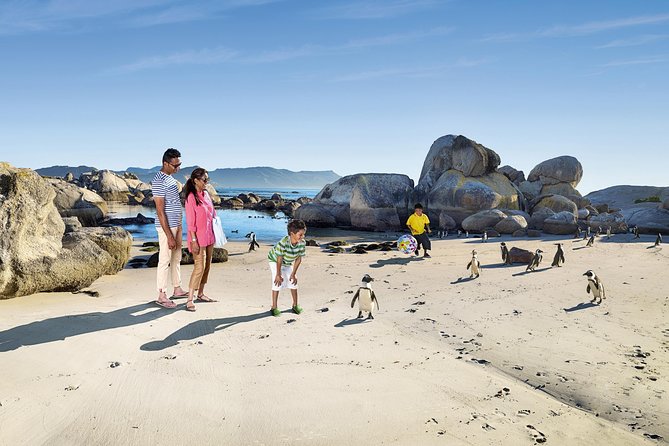Boulders Beach Cape Town: Swimming With Penguin & Close Encounter Half Day Tour - Starting in Bo-Kaap’s colorful streets