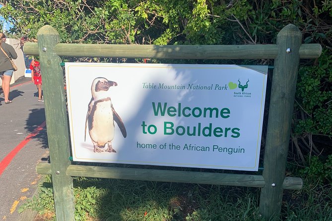 Boulders Beach Penguins and Seal Island Boat Trip Half Day Tour - The brisk pace and what to bring