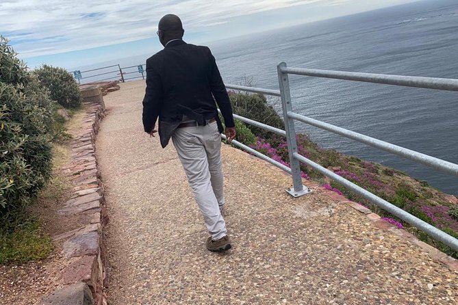 Boulders beach penguins and Wine tasting full day tour - Wine tasting in Constantia: two very different stops