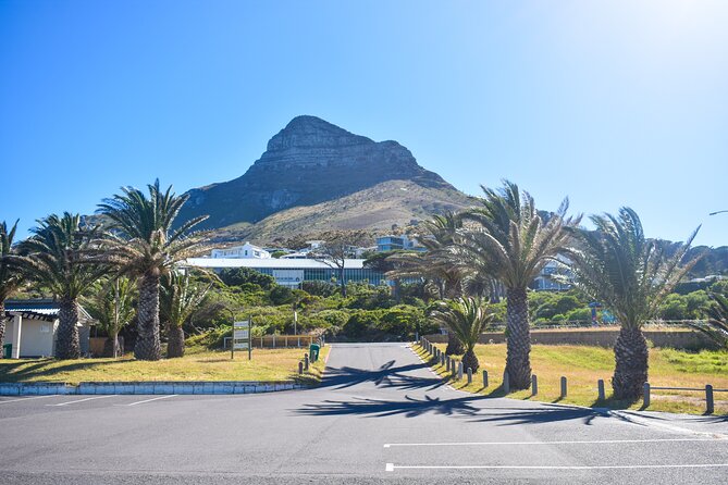Boulders Beach Penguins Half Day Tour - Bo-Kaap starts the morning with color and history