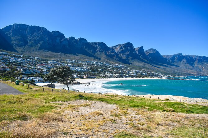 Boulders Beach Penguins Half Day Tour - Guides can shape the quality of the morning