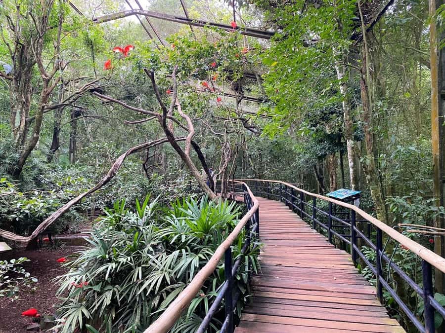 Brazilian Falls, Bird Park and Itaipu Dam - Booking details worth knowing