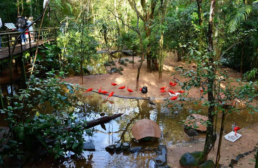 Brazilian Falls, Bird Park and Itaipu Dam - Transport, group size, and the shape of the day